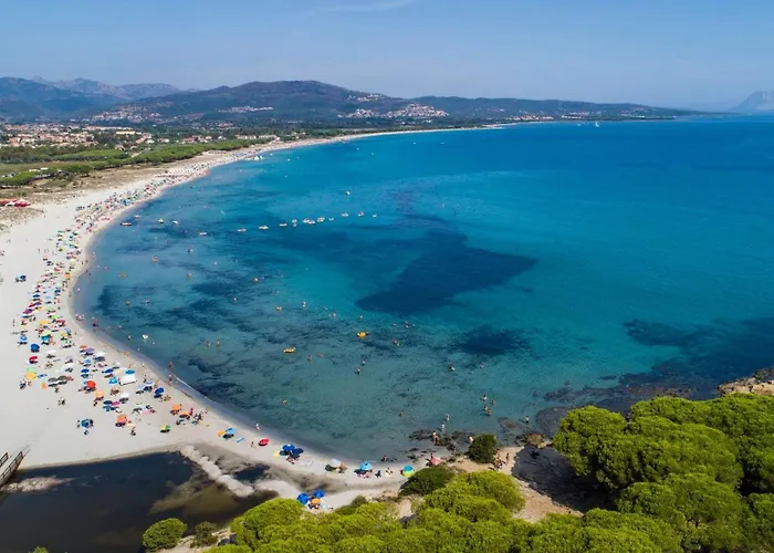 Apartman Bright 300mt From The *